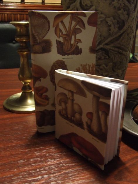 dscf6618.jpg